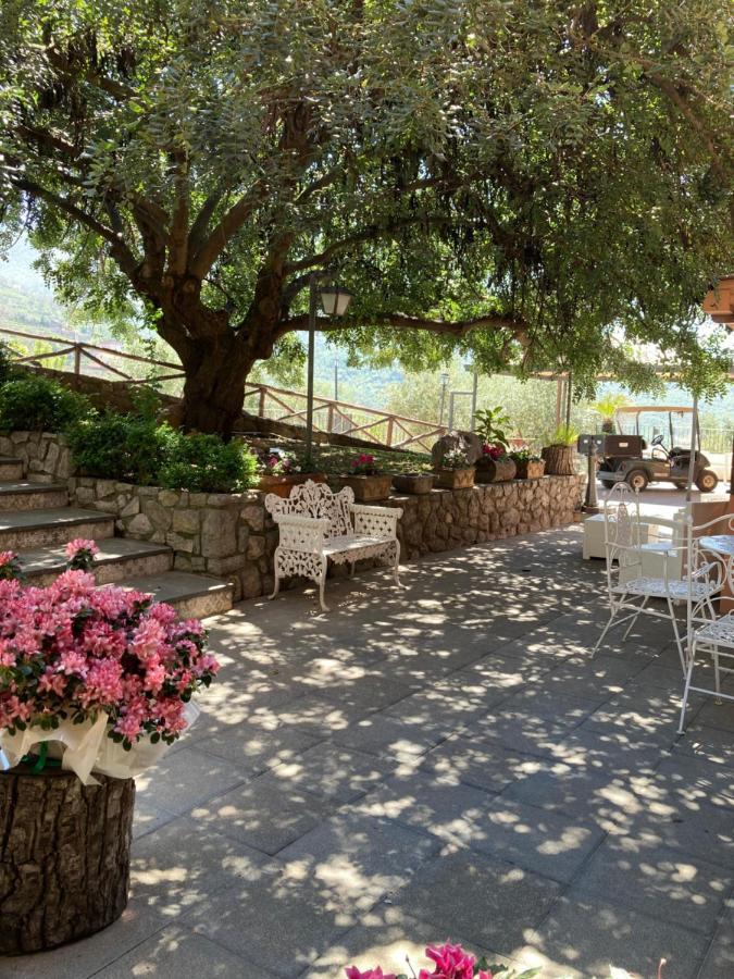 Agriturismo Nonno Luigino Vico Equense Extérieur photo