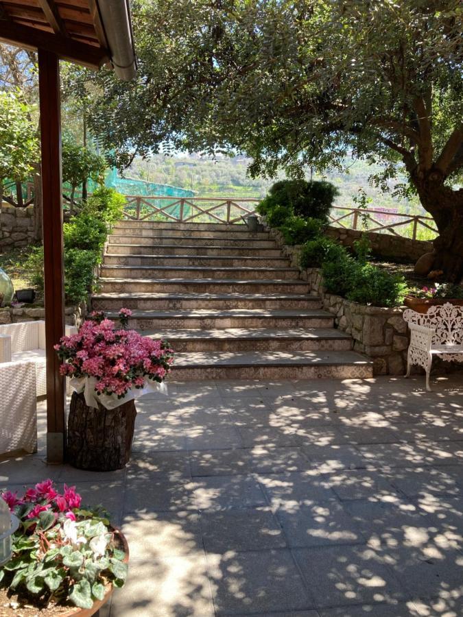 Agriturismo Nonno Luigino Vico Equense Extérieur photo